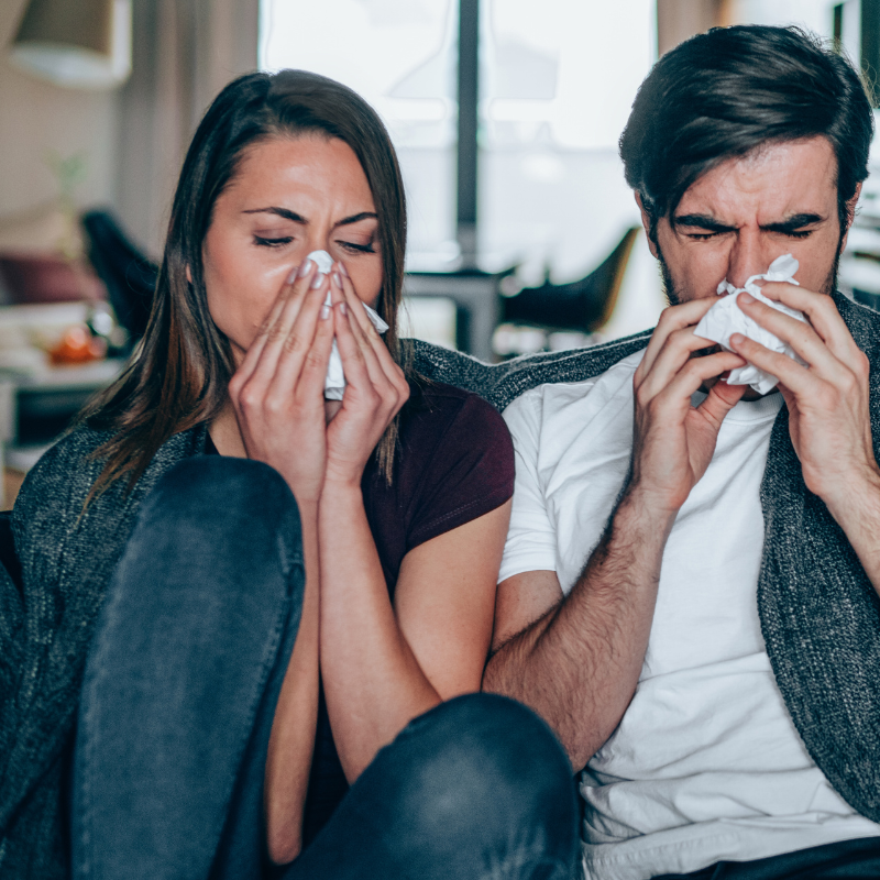 flu season 2023