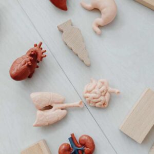 organ age